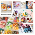 Dried Flowers for Crafts 4-Box Set Random Colors – For Candle Making, Resin Jewelry, Greeting Cards, Photo Frames, Scrapbooking & Halloween Decor