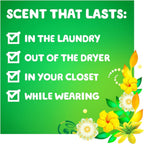 Liquid Laundry Detergent HE Compatible Original Scent 6 Loads 10 fl oz Pack of 12 – Gain Aroma Boost Formula for All Washers