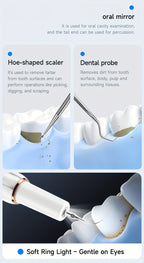 Rechargeable Electric Tooth Cleaner – 5-Speed Dental Plaque Remover with LED Light, USB Charging, Mirror & 2 Replaceable Brush Heads, Teeth Gap Cleaning Tool