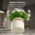 Artificial Potted Plants Set of 6 - Mini Fake House Plants with Pots and Realistic Faux Greenery - Low-Maintenance Plastic Plants for Office Desk, Shelf, Tabletop, Doorway and Year-Round Home Decor