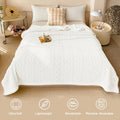 Heavyweight Plush Bedspread Ultra Soft Cozy Bed Cover Machine Washable Decorative Throw for Master Bedroom - 4 Sizes 5 Colors White Light Grey Light Blue Dark Gray Sea Blue