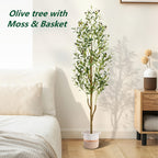 Artificial Olive Tree with Basket, Planter & Moss 5ft 6ft 7ft – Tall Indoor Fake Olive Plant with Realistic Wood Trunk, Lifelike Branches & Fruits for Office, Living Room & Spring Summer Home Decor