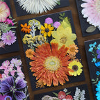 Dried Pressed Flowers 60pcs with Natural Herbs Kit – Real Pressed Flowers & Dry Leaves Bulk for Epoxy Resin Jewelry, Scrapbooking, DIY Crafts, Candle & Soap Making, Nail Décor (2 Styles)