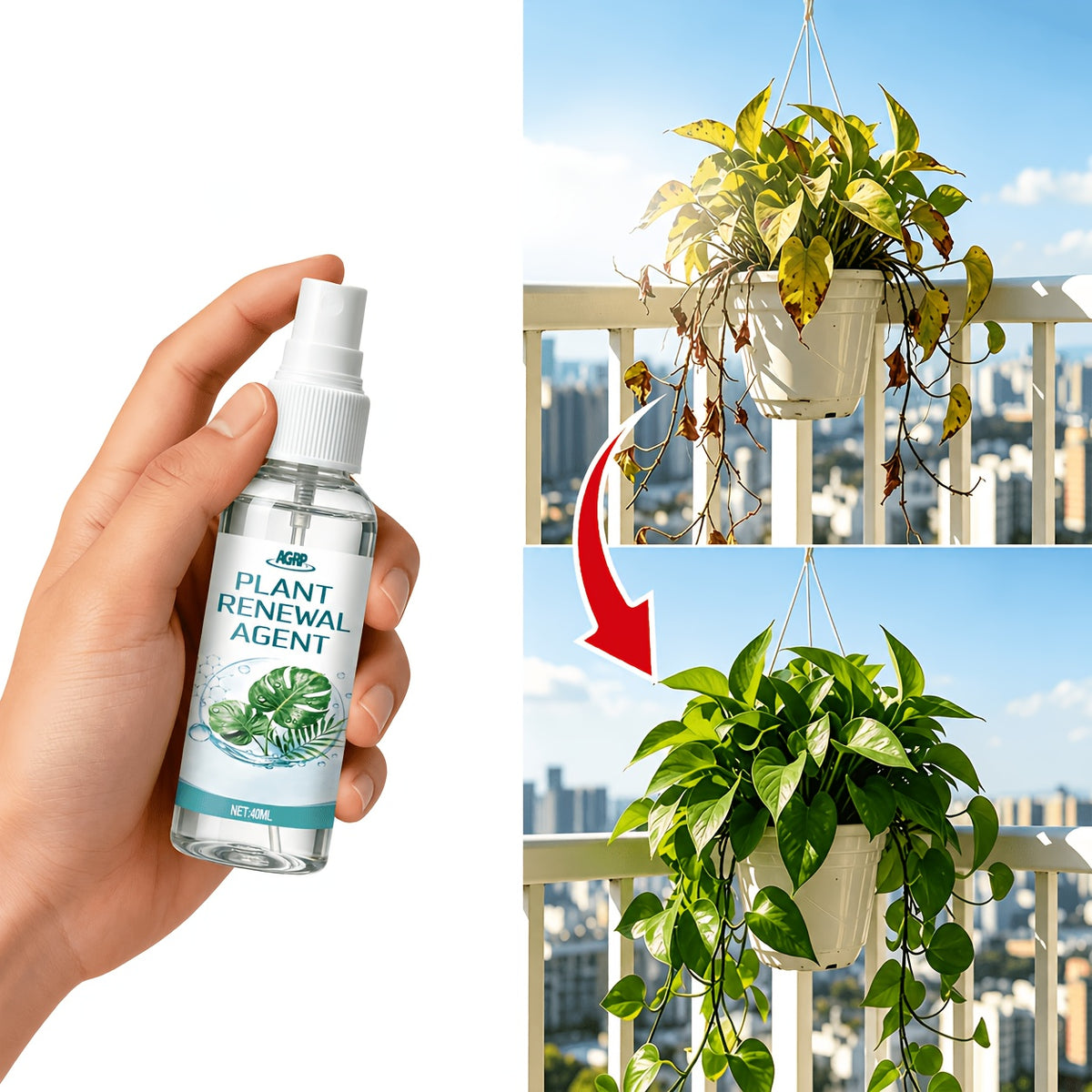 Plant Leaf Shine Spray 40ml – Removes Dust & Yellow, Restores Natural Gloss for Indoor & Outdoor Potted Plants