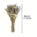 Dried Lavender & Baby’s Breath Flower Bundles 2 Bunches 17 Inch – Dried Gypsophila Bouquet for Vase, Home Decor, Wedding, Photography & DIY Wreath – Valentine’s Day Floral Arrangement Gift