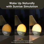 Sunrise Alarm Clock & Sound Machine with 30 Soothing Sounds White Noise – Dimmable Night Light, Wake Up Light, Snooze & Timer for Bedroom, Adults & Heavy Sleepers, Gift for Women & Men