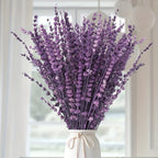 Dried Eucalyptus & Lavender Stems 60+ Pcs – 17" Silver Dollar Eucalyptus Shower Hanging Bundle, Fragrant Preserved Florals for Bathroom, Home & Bedroom Decor, Boho Vase Filler & Aromatherapy Gift