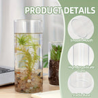 Glass Cylinder Vases Set 15/20/25/30pcs 5 Sizes – Transparent Hurricane Flower Vases for Wedding, Home, Party & Office Decor