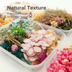 Dried Flower Set Assorted 4 Boxes – Mixed Variety Dried Botanicals for Home Decor, Gift Wrapping, Scrapbooking & Floral Arrangement Decoration Supplies