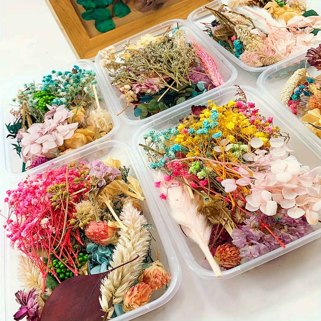 Dried Flowers for Crafts 4-Box Set Random Colors – For Candle Making, Resin Jewelry, Greeting Cards, Photo Frames, Scrapbooking & Halloween Decor