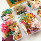 Dried Flowers for Crafts 4-Box Set Random Colors – For Candle Making, Resin Jewelry, Greeting Cards, Photo Frames, Scrapbooking & Halloween Decor