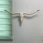 Rustic Longhorn Skull Wall Hanging Resin Cow Head Decor Handcrafted Farmhouse Wall Art Vintage Western Decor Living Room Bedroom Entryway Western Home Decor Faux Taxidermy Christmas Gift Ranch Decor