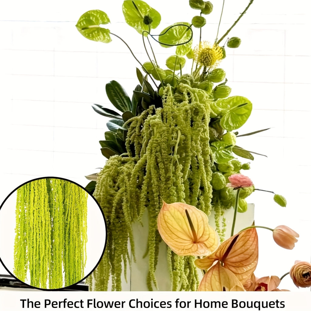Dried Green Amaranth Hanging Flowers 10pcs 23-27 Inch - Bohemian Wisteria Floral Stems for Wedding Centerpiece, Bridal Bouquet, Photography Prop, Christmas & Valentine's Day Decor