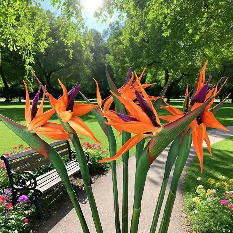 Artificial Bird of Paradise Flowers – 5-Stem Faux Strelitzia Bouquet with Orange & Purple Petals, Lifelike Plastic Stems for Home, Office & Wedding Table Centerpieces