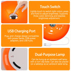 Touch-Control Dimmable Donut Table Lamp – 3-Tone USB Rechargeable, Wall-Mountable Night Light for Bedroom & Desk