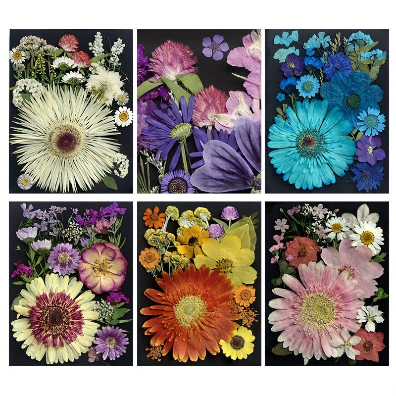Dried Pressed Flowers 60pcs with Natural Herbs Kit – Real Pressed Flowers & Dry Leaves Bulk for Epoxy Resin Jewelry, Scrapbooking, DIY Crafts, Candle & Soap Making, Nail Décor (2 Styles)