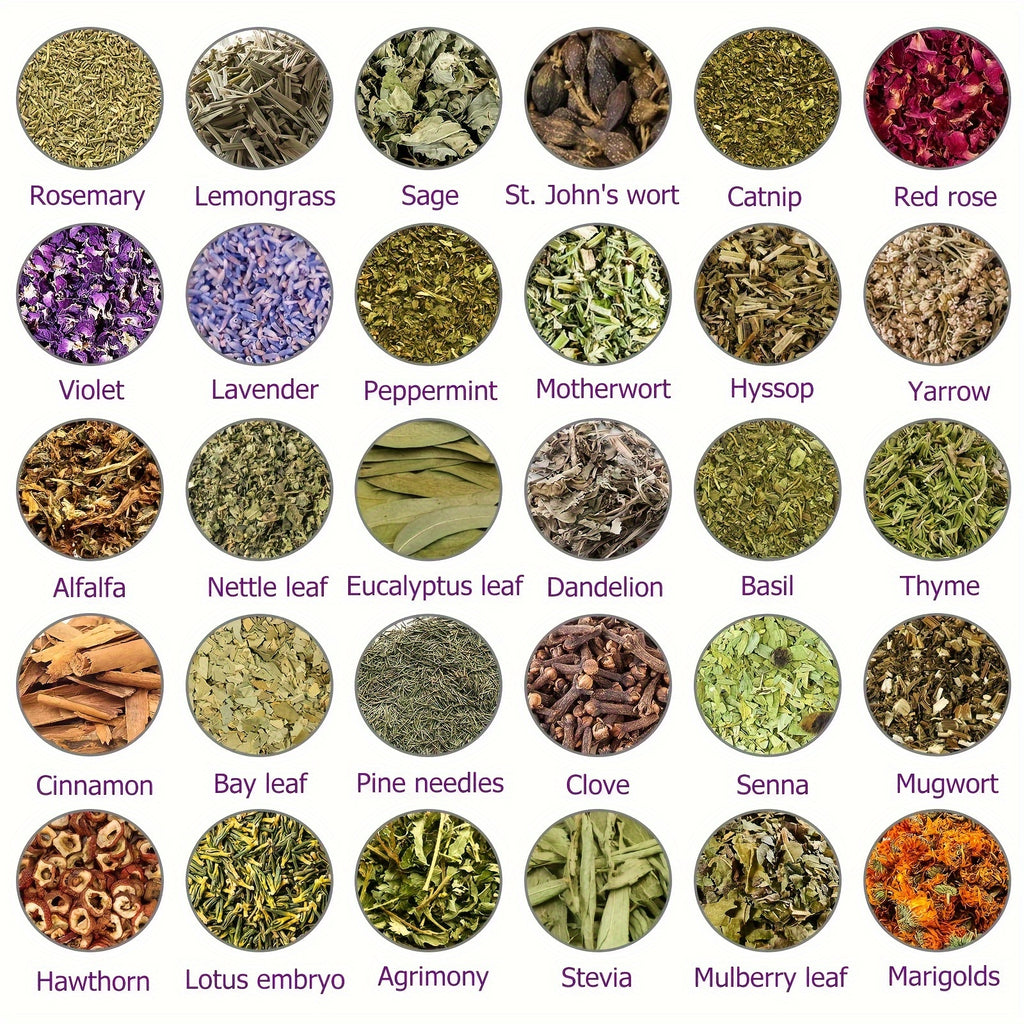 Dried Herbs Kit 30 Packs for Wicca Pagan Rituals Altar Supplies Magic Spells Witchcraft Supplies with Metal Spoon Witch Beginners Herb Set Halloween Spiritual Gift