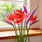 Artificial Bird of Paradise Flowers – 5-Stem Faux Strelitzia Bouquet with Orange & Purple Petals, Lifelike Plastic Stems for Home, Office & Wedding Table Centerpieces