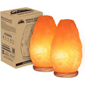 Himalayan Salt Lamp Set of 2 – Pink Crystal Night Light with Neem Wood Base, USB Dimmer Switch, Warm Glow for Bedroom & Relaxation