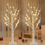 Artificial Birch Wood Branch LED Lamp 2FT 24 LEDs Warm White with Timer - USB & Battery Dual Powered Decorative Twig Light for Bedroom Living Room Office Wedding Home Decor - Single & 2-Pack