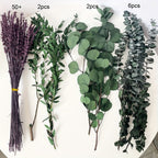 Dried Eucalyptus & Lavender Stems 60+ Pcs – 17" Silver Dollar Eucalyptus Shower Hanging Bundle, Fragrant Preserved Florals for Bathroom, Home & Bedroom Decor, Boho Vase Filler & Aromatherapy Gift