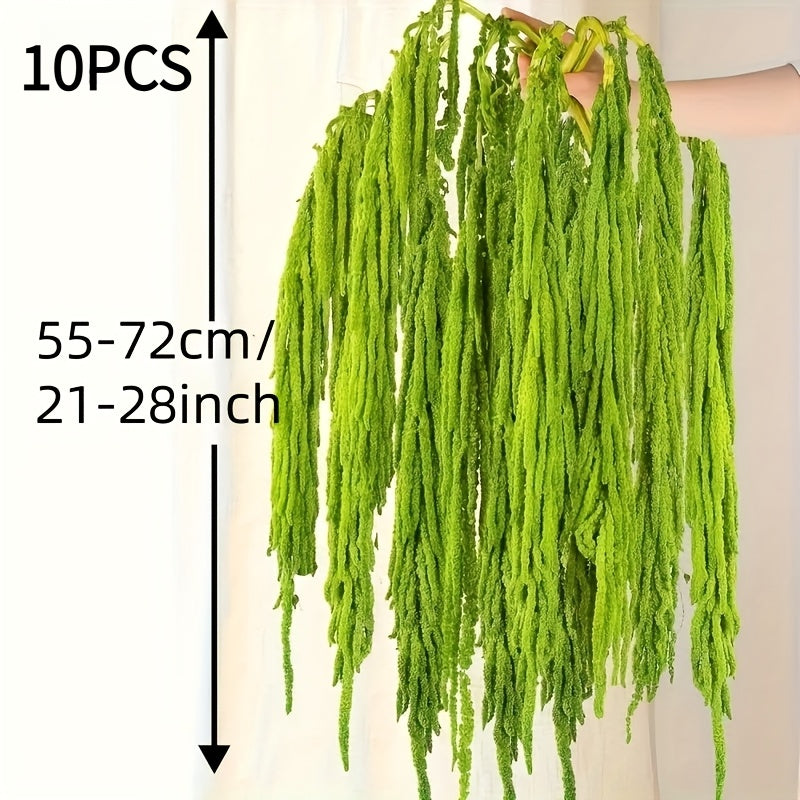 Dried Green Amaranth Hanging Flowers 10pcs 23-27 Inch - Bohemian Wisteria Floral Stems for Wedding Centerpiece, Bridal Bouquet, Photography Prop, Christmas & Valentine's Day Decor