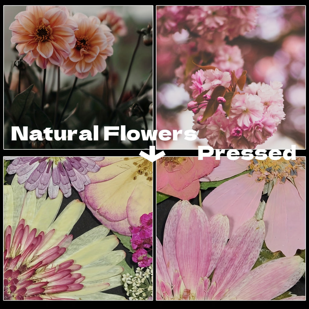Dried Pressed Flowers 60pcs with Natural Herbs Kit – Real Pressed Flowers & Dry Leaves Bulk for Epoxy Resin Jewelry, Scrapbooking, DIY Crafts, Candle & Soap Making, Nail Décor (2 Styles)