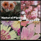 Dried Pressed Flowers 60pcs with Natural Herbs Kit – Real Pressed Flowers & Dry Leaves Bulk for Epoxy Resin Jewelry, Scrapbooking, DIY Crafts, Candle & Soap Making, Nail Décor (2 Styles)