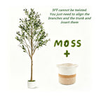Artificial Olive Tree with Basket, Planter & Moss 5ft 6ft 7ft – Tall Indoor Fake Olive Plant with Realistic Wood Trunk, Lifelike Branches & Fruits for Office, Living Room & Spring Summer Home Decor