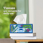 Kleenex Facial Tissues 6 Box Bulk Pack 160 Tissues Per Box 960 Total Soft Strong Everyday Tissue for Home Office Classroom Bedroom