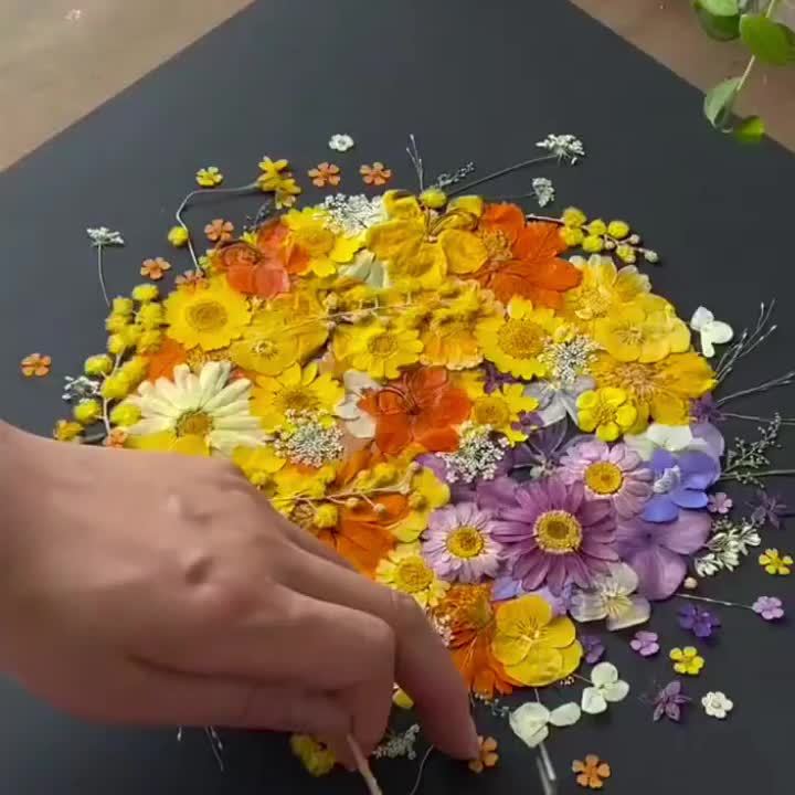 Pressed Dried Flowers Kit 500pcs Mixed Natural Dried Flower Leaves for Resin, Nail Art, Jewelry Making, Scrapbooking, Phone Cases & Floral Crafts, Vacuum Sealed Mixed Styles & Colors