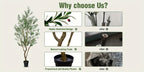 Artificial Olive Tree 5/6/7FT Multi-Trunk Pre-Potted – Lifelike Faux Indoor Tree with 706-1296 Leaves & Realistic Olives – Mediterranean Farmhouse Decor for Home, Office & Porch