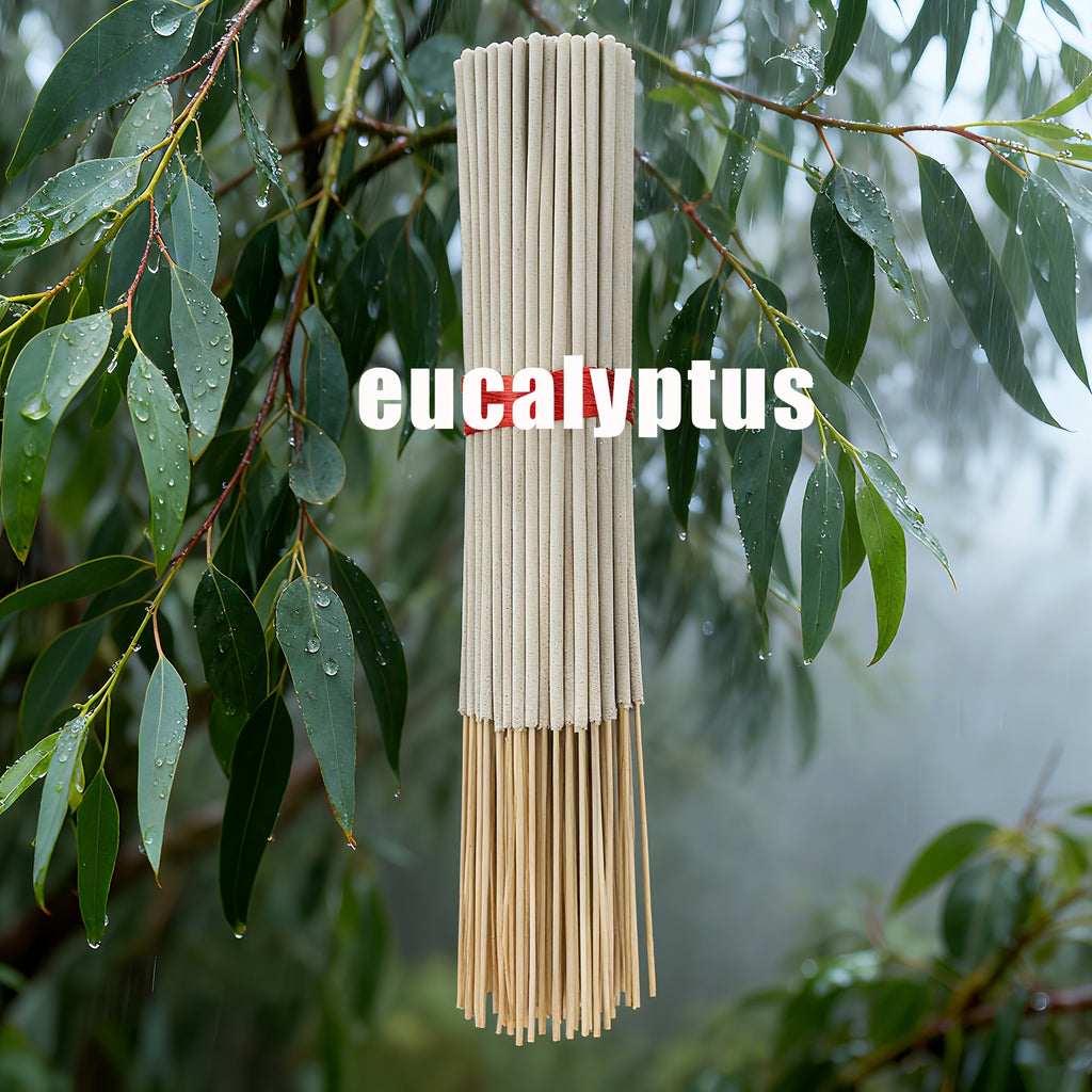 Forest Series Incense Sticks Set of 7 – Vanilla, Eucalyptus, Frankincense, Sandalwood, Citronella, Sage & Peppermint | Long-Lasting Colorful Aromatherapy Sticks for Home, Meditation & Relaxation