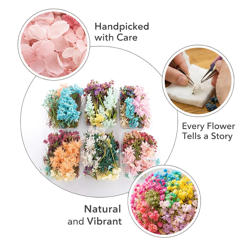Dried Flower Bouquet Set 4 Boxes Mixed Dried Flowers and Leaves for Resin Jewelry Art Crafts Candle Making Holiday Decoration Scrapbooking with Greeting Card