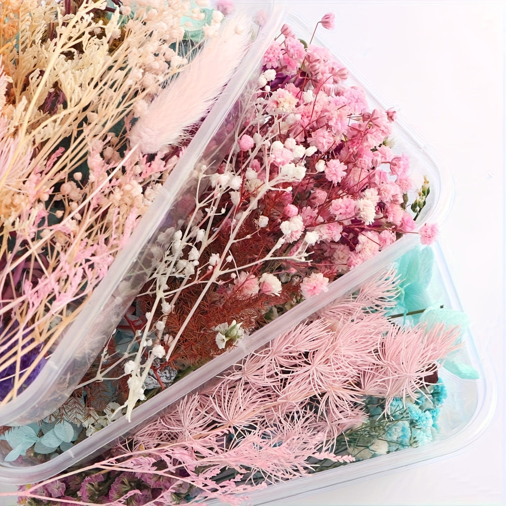 Dried Flowers for Crafts 4-Box Set Random Colors – For Candle Making, Resin Jewelry, Greeting Cards, Photo Frames, Scrapbooking & Halloween Decor