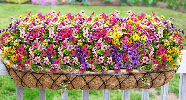 Artificial Outdoor Daisy Flowers UV Resistant Bulk Bundles 18/36/54pcs – Faux Colorful Daisy Stems for Porch, Patio & Garden – Realistic Spring Summer Outdoor Decor Flowers