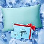 Ice Cooling Pillowcase for Hot Sleepers - Instantly Cool Nylon Elastane Fabric, Stays Cold All Night, Invisible Zipper Pillow Cover, Queen & King Size, White Light Blue Dark Gray Light Brown