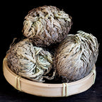 Rose of Jericho 20pcs Dried Sacred Resurrection Plant – Selaginella Lepidophylla Prayer Plant for Spiritual Cleansing, Luck & Home Decor