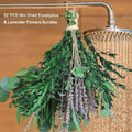 Eucalyptus Shower Bundle 52pcs Dried Eucalyptus Lavender Stems 17 Inch Natural Silvery Dollar Leaves Fragrant Hanging Plant for Bathroom Home Decor