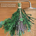 Eucalyptus Shower Bundle 52pcs Dried Eucalyptus Lavender Stems 17 Inch Natural Silvery Dollar Leaves Fragrant Hanging Plant for Bathroom Home Decor