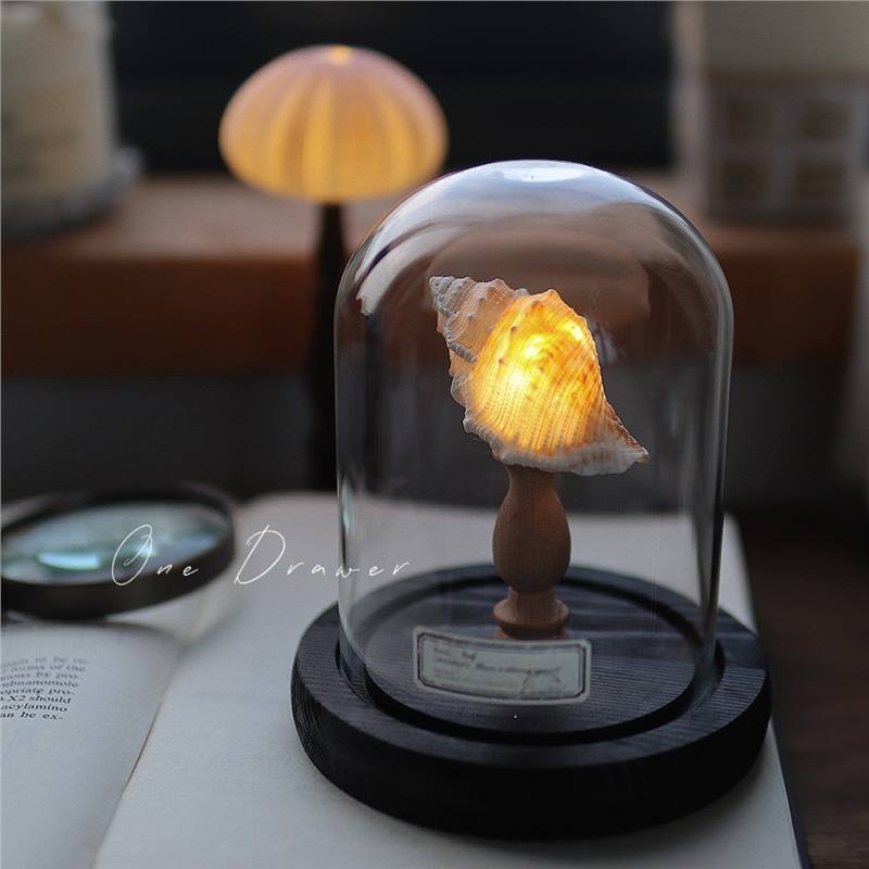 Handmade Sea Urchin Night Light Shell Lamp Ornament - Ocean Island Retro Coastal Decor, Unique Bedroom Bedside Table Lamp Gift, Powder Green Purple