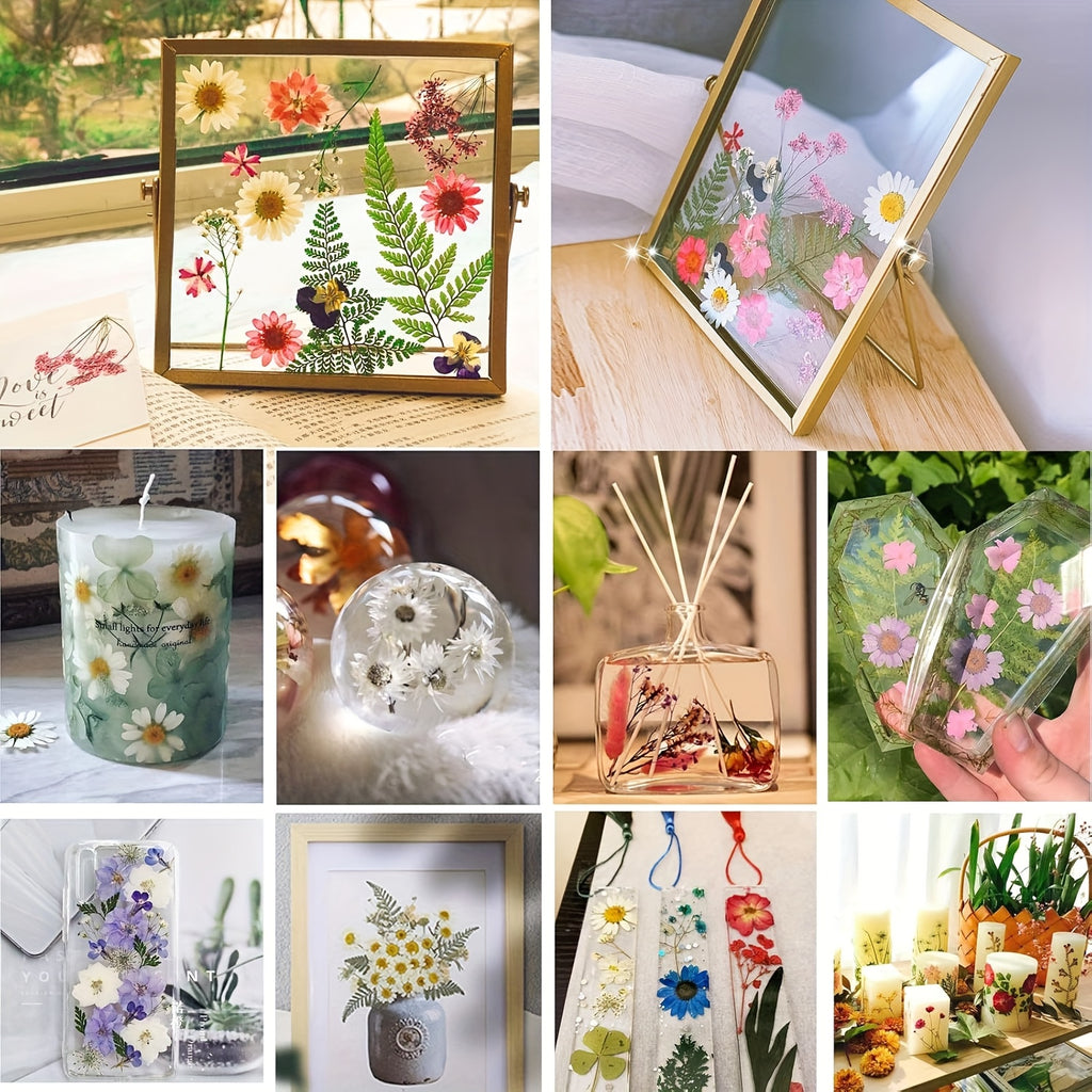 Pressed Dried Flowers Kit 500pcs Mixed Natural Dried Flower Leaves for Resin, Nail Art, Jewelry Making, Scrapbooking, Phone Cases & Floral Crafts, Vacuum Sealed Mixed Styles & Colors