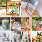 Pressed Dried Flowers Kit 500pcs Mixed Natural Dried Flower Leaves for Resin, Nail Art, Jewelry Making, Scrapbooking, Phone Cases & Floral Crafts, Vacuum Sealed Mixed Styles & Colors