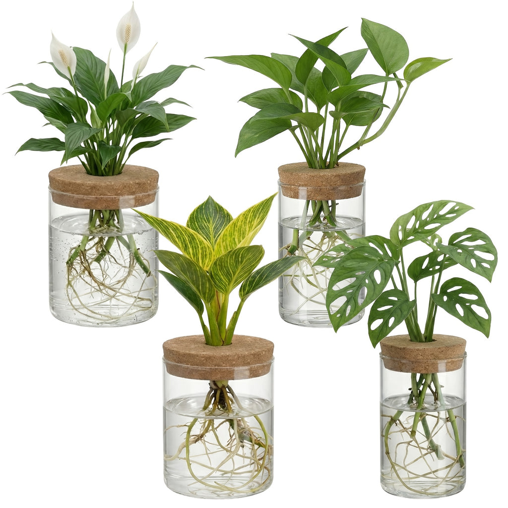 Glass Plant Propagation Station 4pcs Desktop Vase Set 2 Large 2 Small for Plant Cuttings Water Propagation Living Room Bedroom Home Decor