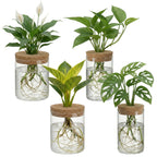 Glass Plant Propagation Station 4pcs Desktop Vase Set 2 Large 2 Small for Plant Cuttings Water Propagation Living Room Bedroom Home Decor