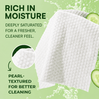 Adult Wet Wipes Supersized 240 Count (4 Packs), Cucumber Scent with Aloe Vera & Vitamin E, Baby-Soft Alcohol-Free Personal Hygiene Wipes for Men & Women, Microwave-Friendly