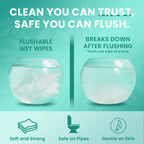 XL Flushable Adult Wet Wipes Unscented Alcohol-Free Septic and Sewer Safe Family Size 3-Pack 150 Wipes and 6-Pack 300 Wipes for Home Bathroom Travel Camping Outdoor Hygiene