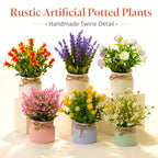 Artificial Potted Plants Set of 6 - Mini Fake House Plants with Pots and Realistic Faux Greenery - Low-Maintenance Plastic Plants for Office Desk, Shelf, Tabletop, Doorway and Year-Round Home Decor