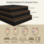 Hybrid Mattress | Memory Foam & Spring, Medium Firmness, Lumbar Support, Boxed – 10", 12" & 14" | Twin, Full, Queen, King