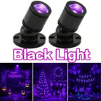 USB UV Black Light LED Mini Spotlights – Connectable 1W UV-A Blacklight for Glow Party, Bedroom Decor, Posters, Halloween & Pet Urine Detection – 2, 4 or 6 Pack